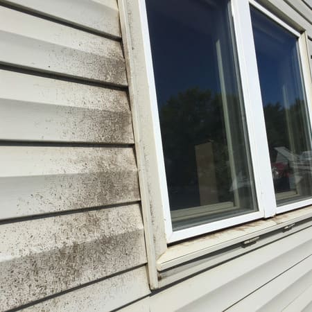 Whats growing on your siding common contaminants house washing eliminates