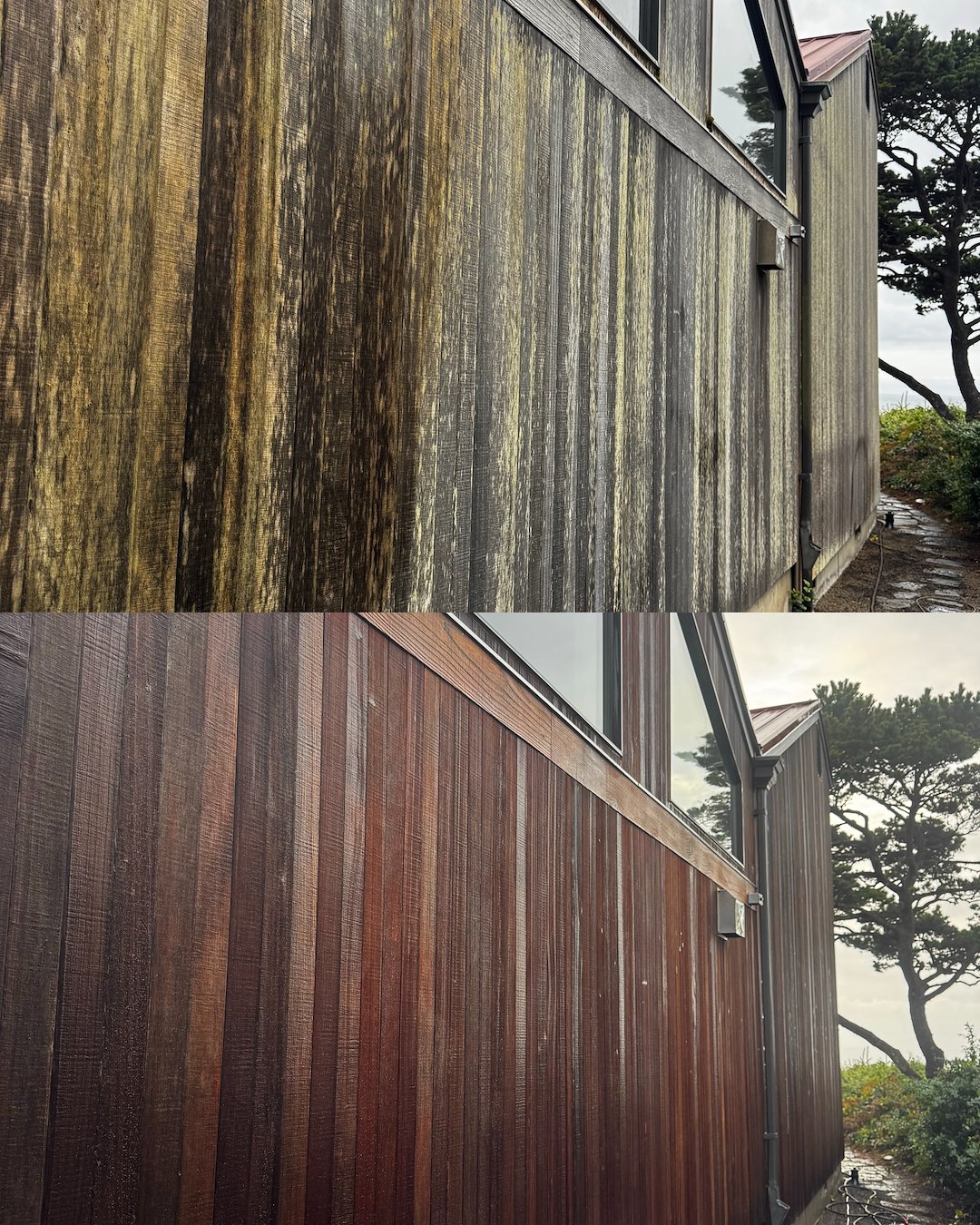  Cedar Siding Restoration – Newport, Oregon 