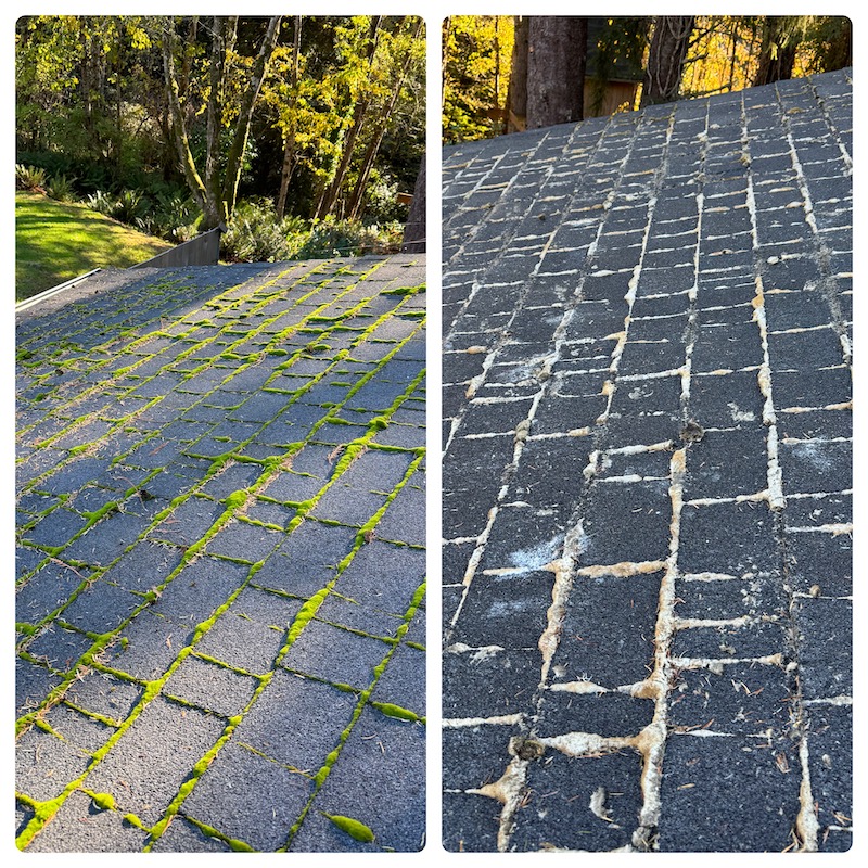 Moss Removal And Roof Cleaning in Lincoln City, OR