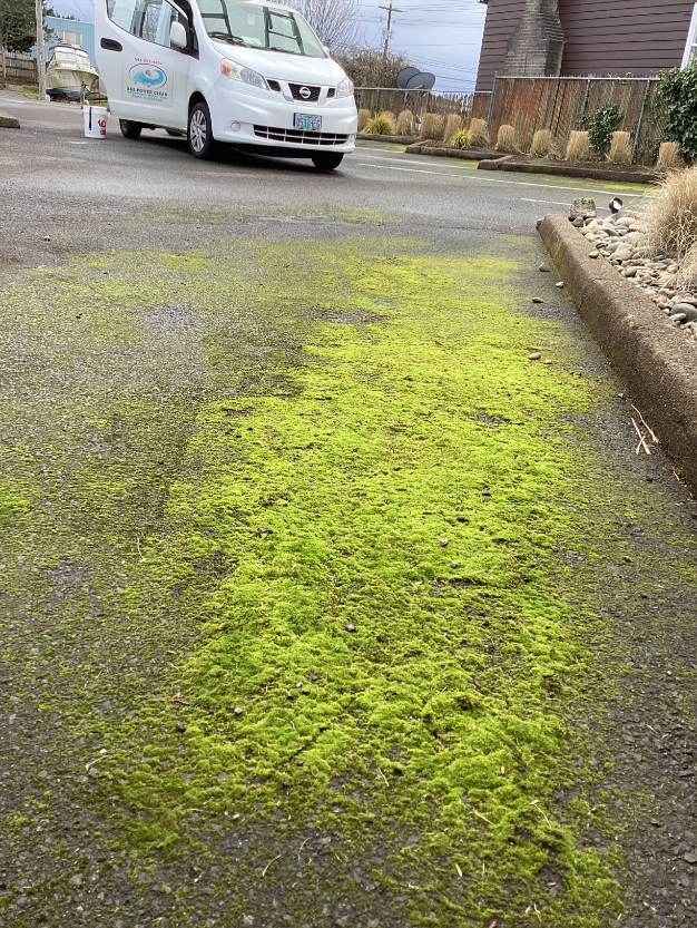 Parking Lot Cleaning on Oregon Coast