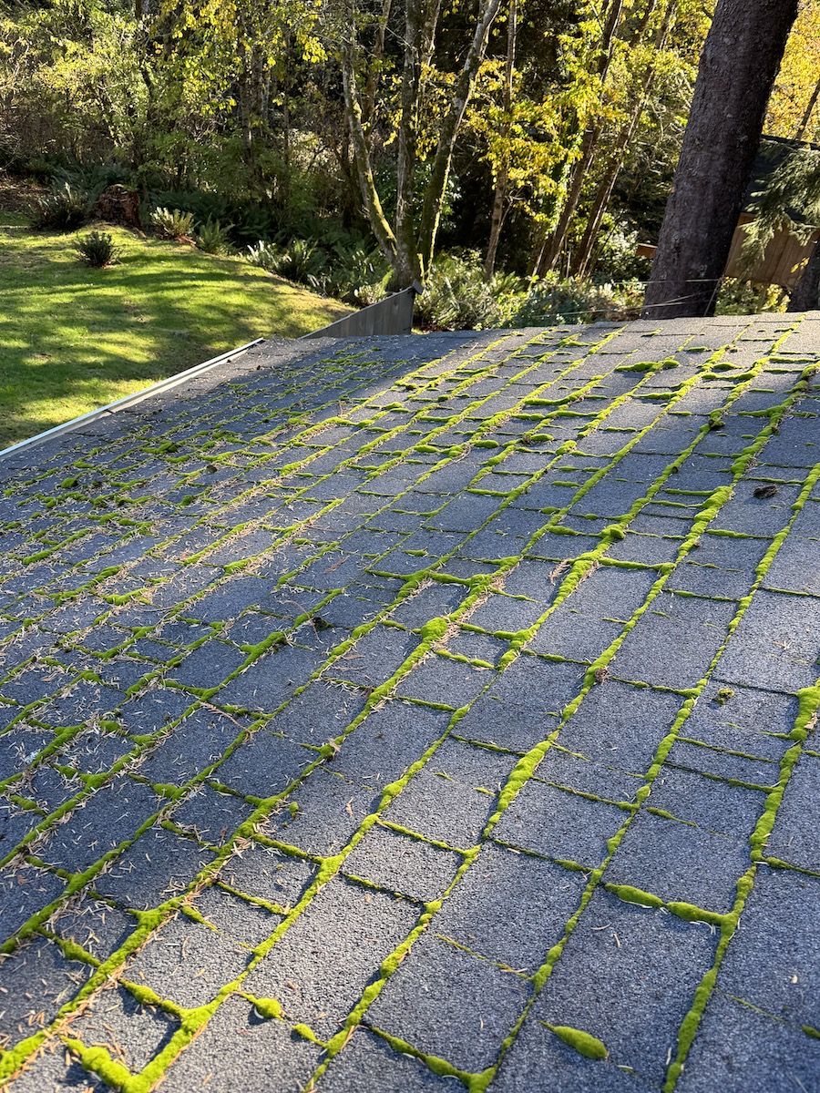 Soft Wash And Moss Removal in Lincoln City, OR