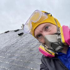 Roof cleaning