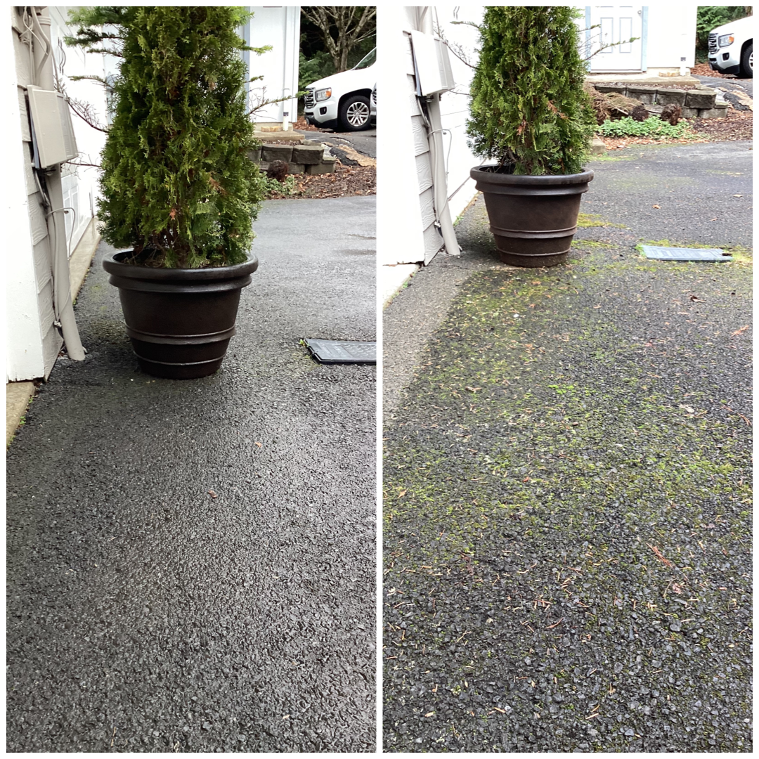 Winter Patio and Driveway Cleaning in Depot Bay, OR